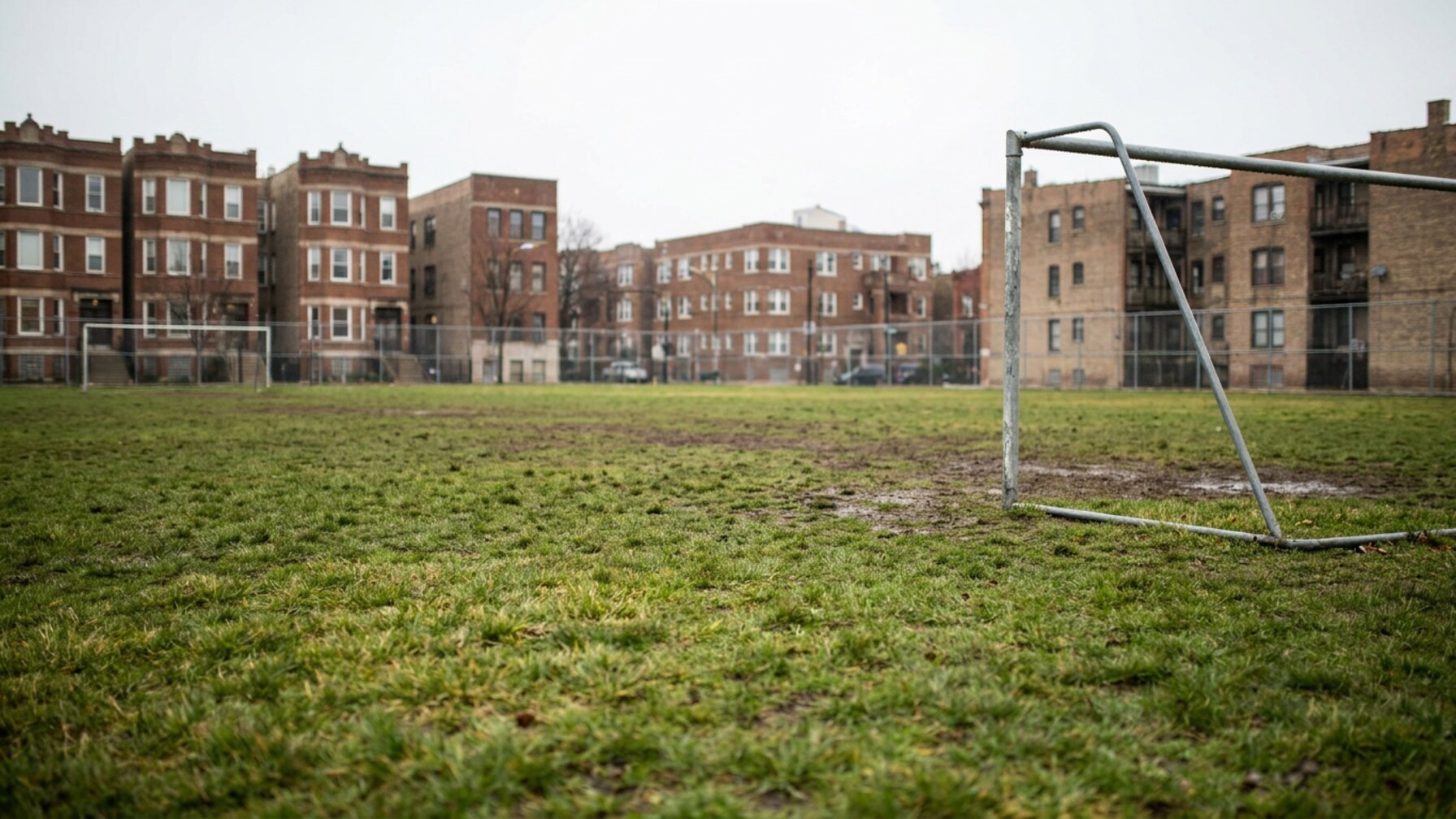 Chicago Adult Sports Clubs Build Community Through Steady Participation